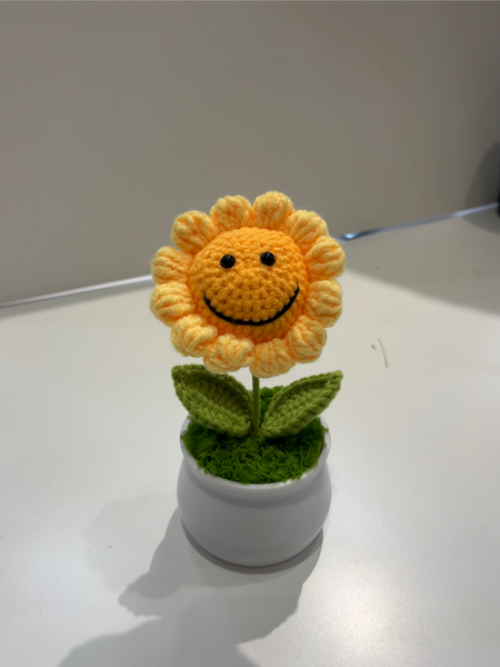 Small Crochet Flower Pot