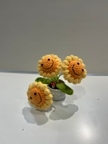 Small Crochet Flower Pot