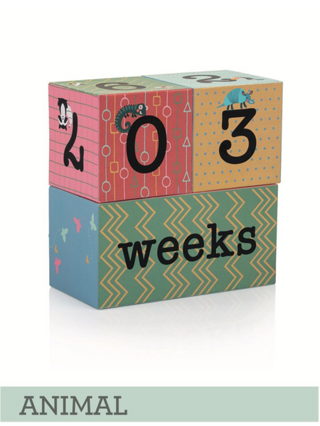 Baby Milestone Blocks, Set of Cubes, Decor for your pictures by Baby Tales - touchofsouth